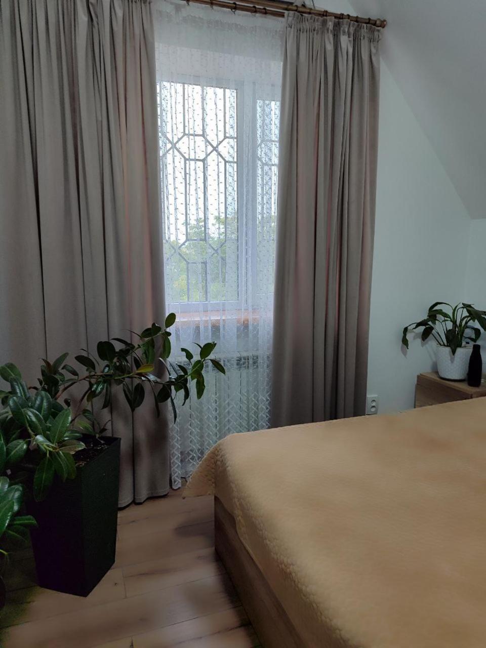 Amanat Guest House 比什凯克 外观 照片