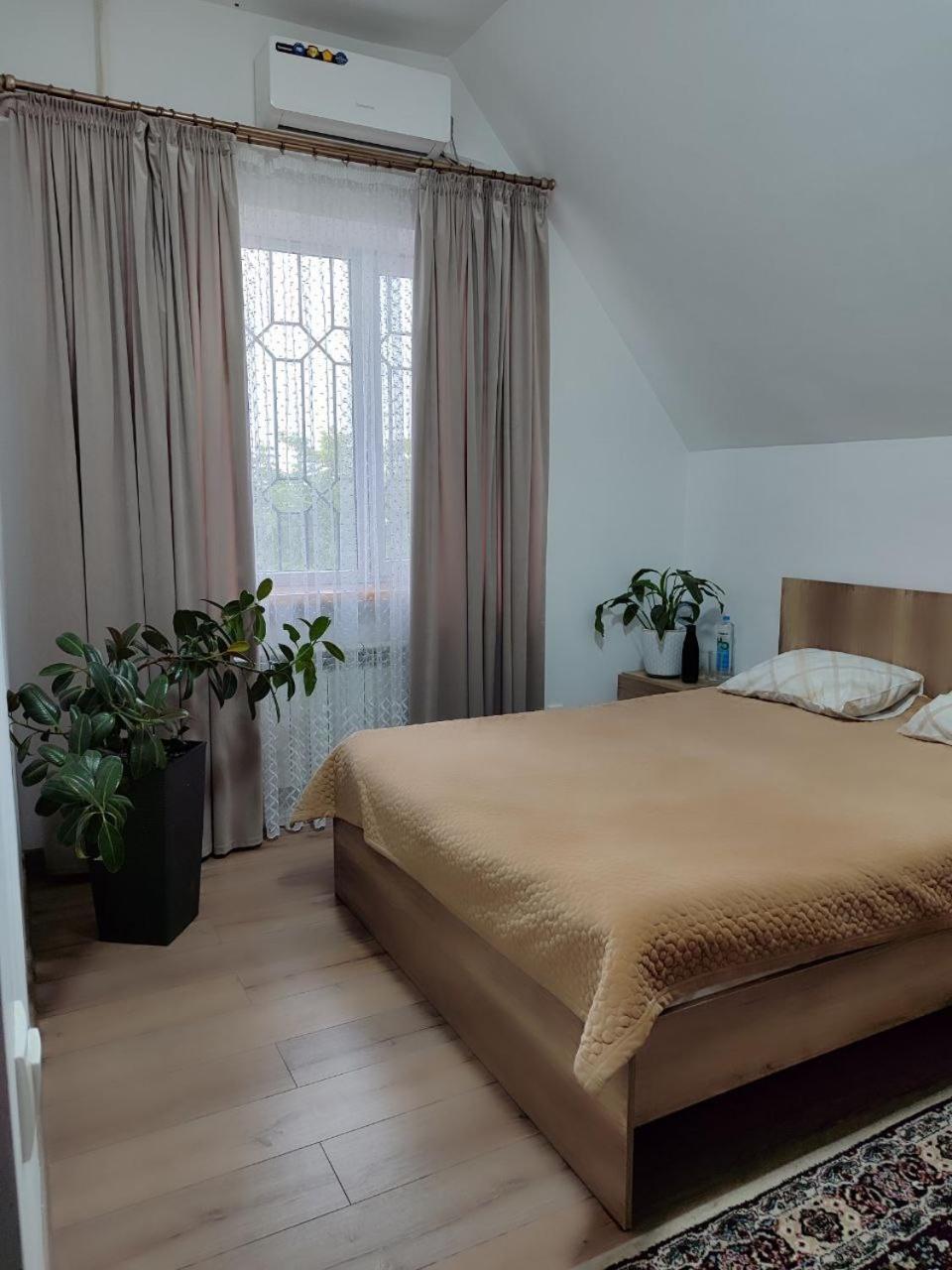 Amanat Guest House 比什凯克 外观 照片