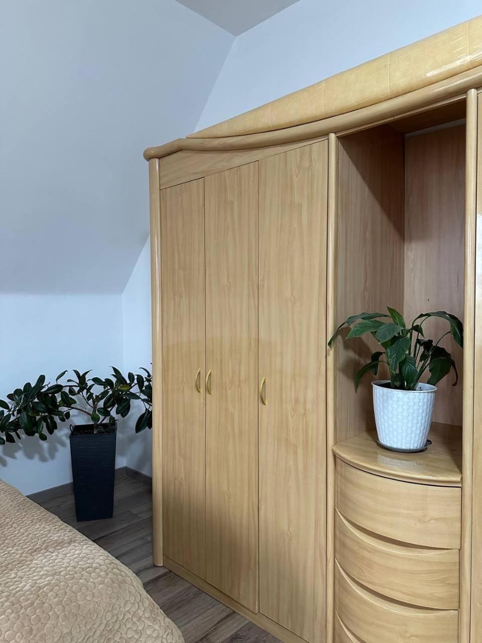 Amanat Guest House 比什凯克 外观 照片